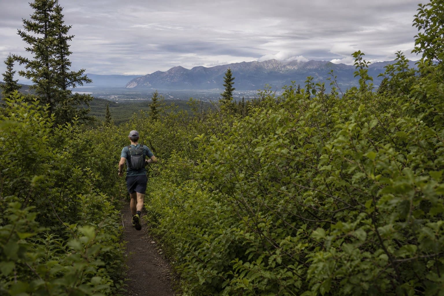 Cover image for article: Trail runner injured by brown bear near Anchorage's Prospect Heights trailhead