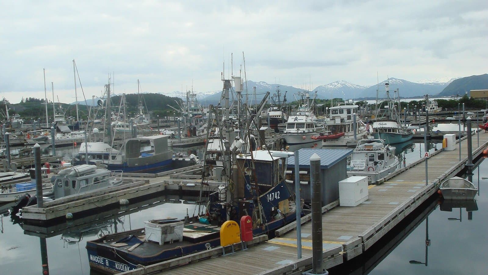 Cover image for article: Review finds about 1 in 4 tested Kodiak moorage charges didn't match published rates