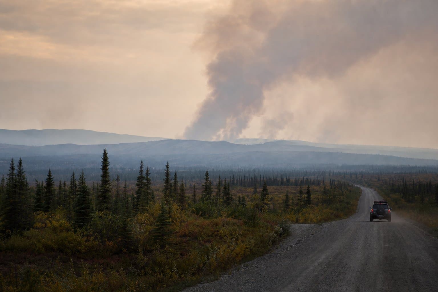 Cover image for article: Five wildfire investigations span Interior to western Alaska