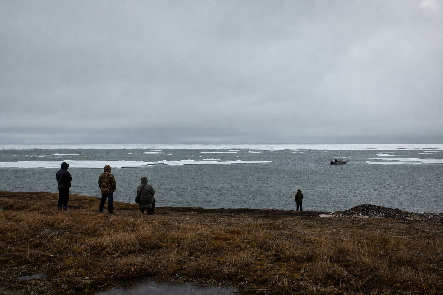 Cover image for article: Barents Sea hits record low ice while Beaufort stays locked, splitting Arctic in two