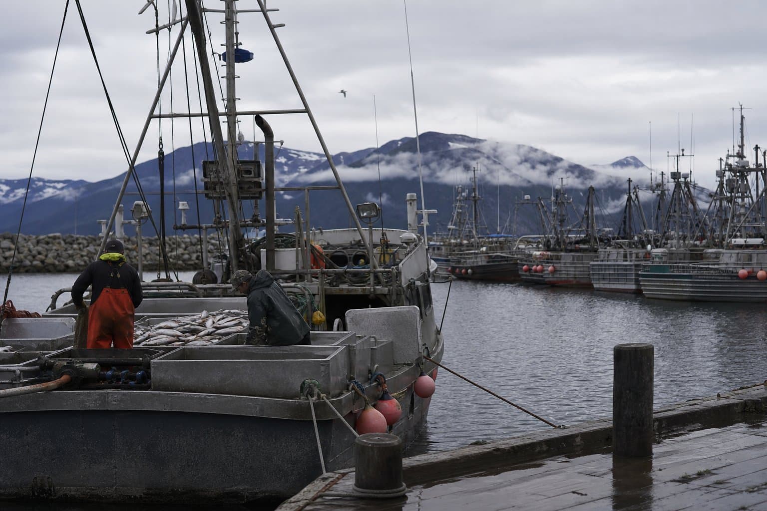 Cover image for article: Begich bill targets illegal foreign fishing that undercuts Alaska fleets