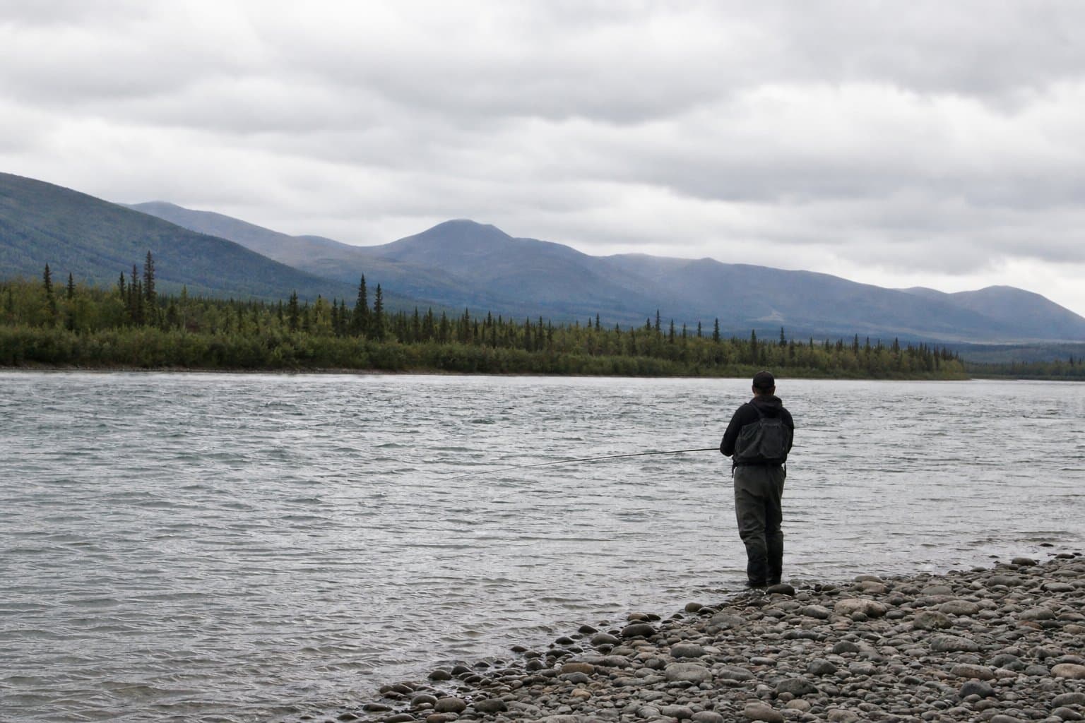 Cover image for article: Alaska's kings are down almost everywhere — here's the picture