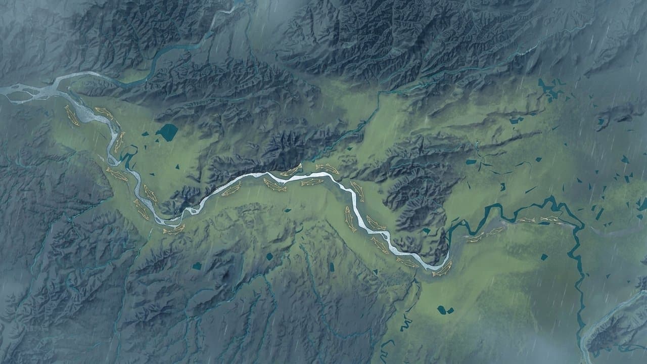 Cover image for article: Tanana River chum salmon sport fishery reopens as run exceeds forecast