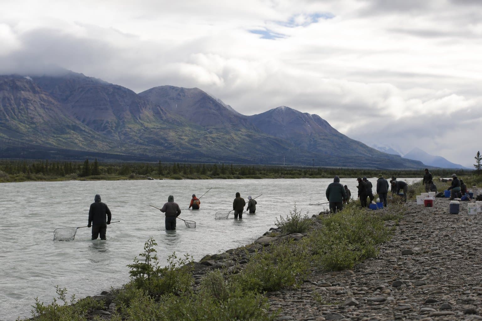 Cover image for article: Chitina dipnet fishery opens four 48-hour weekends in August, no kings