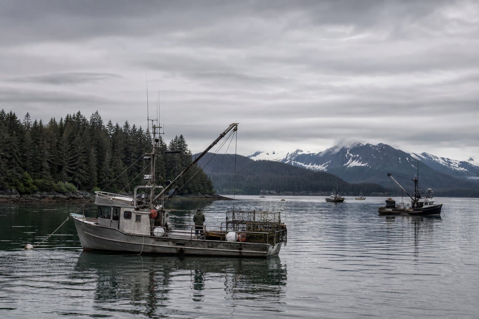 Cover image for article: ADF&G reminds PWS shrimpers: harvest reports due June 22