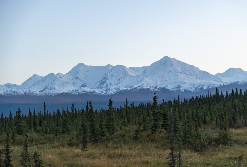 Cover image for article: Tanana Chiefs Conference names cancer center for Andy and Barbara Jimmy