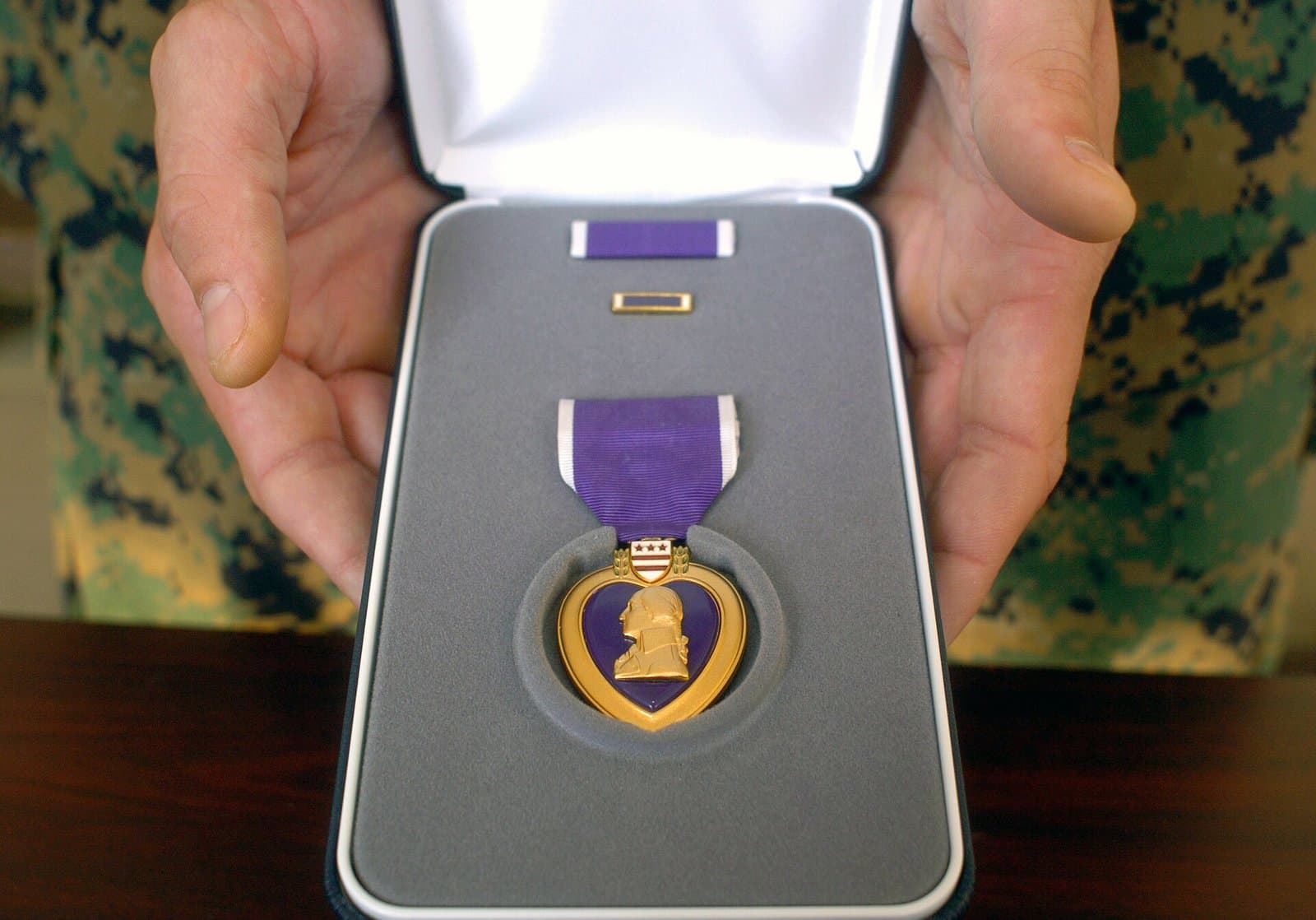 Cover image for article: Anchorage Assembly set to honor veterans and Purple Heart recipients in November