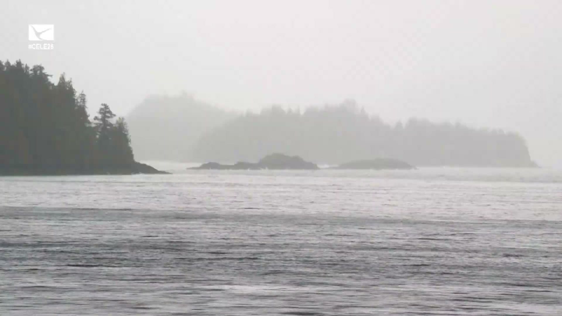 Cover image for article: Navy SEAL returns to Southeast Alaska after 28 years