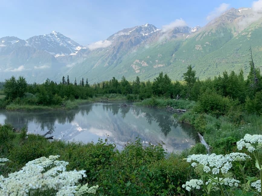 Cover image for article: Cook Inlet Tribal Council opens four-week communication workshop