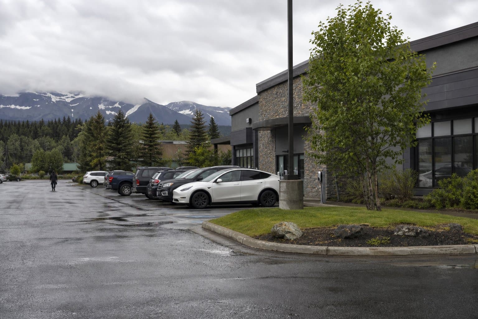 Cover image for article: Matanuska Electric offers free EV chargers to local businesses, but hosts pay install costs