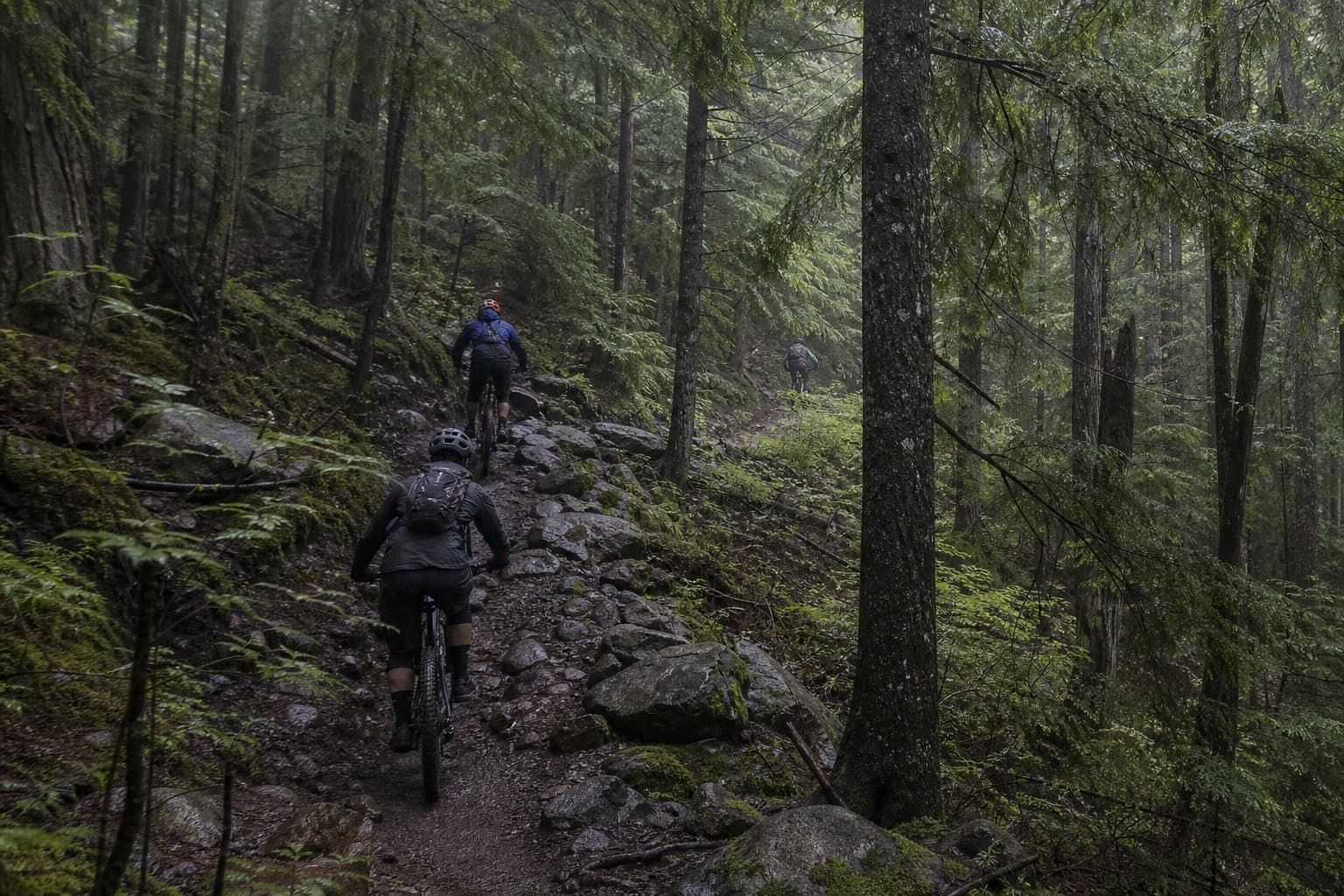 Cover image for article: Juneau advisory committee to vote on banning Class 2 and 3 e-bikes from city trails