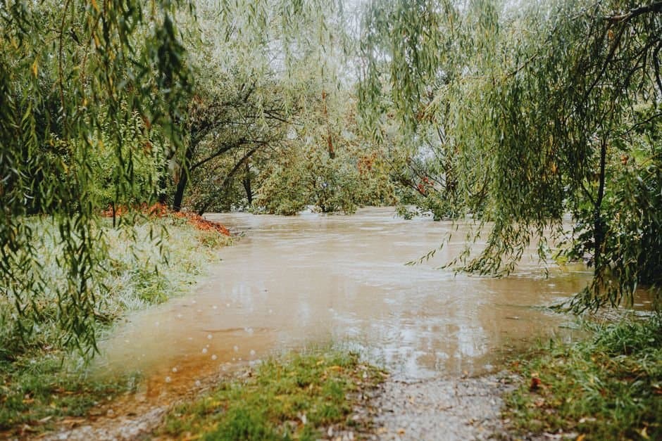 Cover image for article: Yentna River passes flood stage near Lake Creek as forecast crest is revised upward