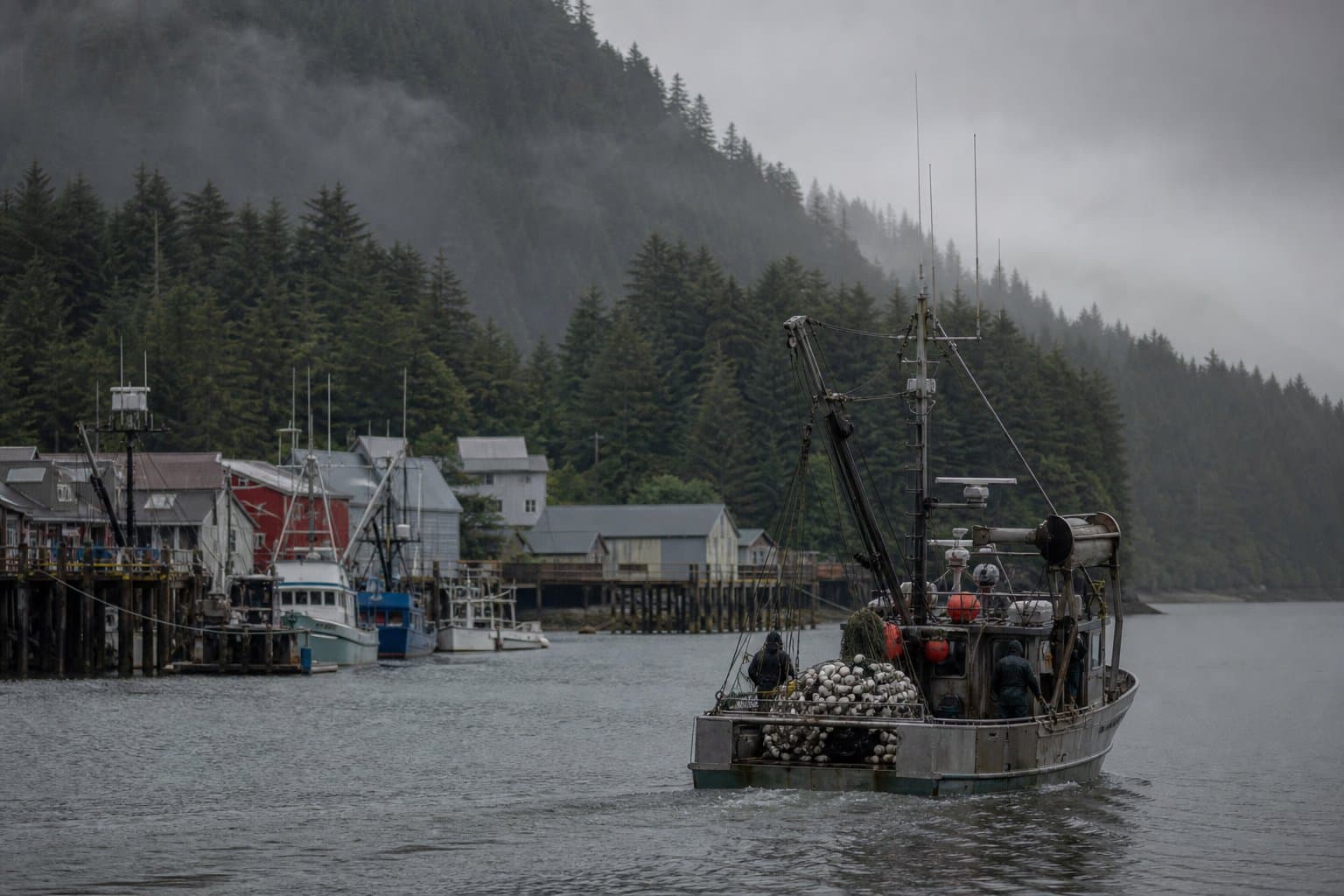 Cover image for article: Sitka wades into an unsettled frontier of environmental law