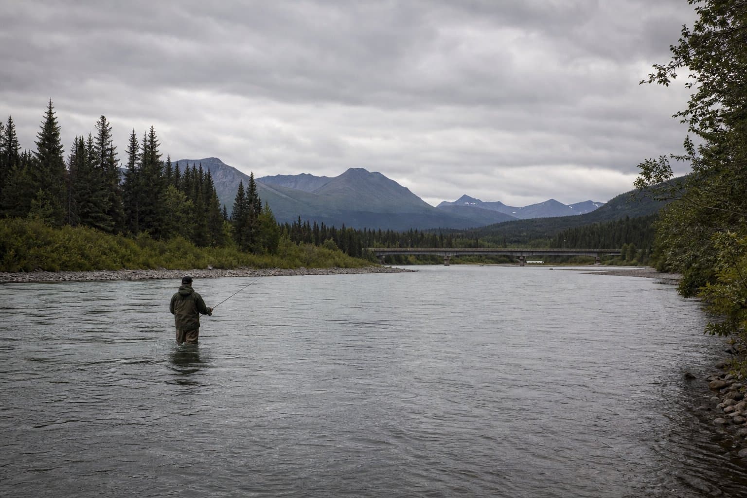 Cover image for article: Coho retention closes Wednesday on Little Susitna and Susitna drainages