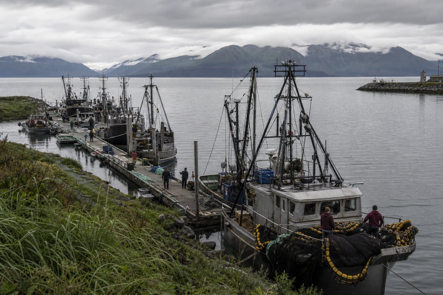 Cover image for article: Chignik Bay, Central districts open five days for commercial salmon starting Aug. 17