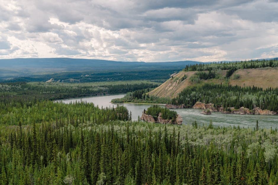 Cover image for article: Yukon River sport fishing closed for kings and chums through 2026 as seven-year rebuilding effort continues