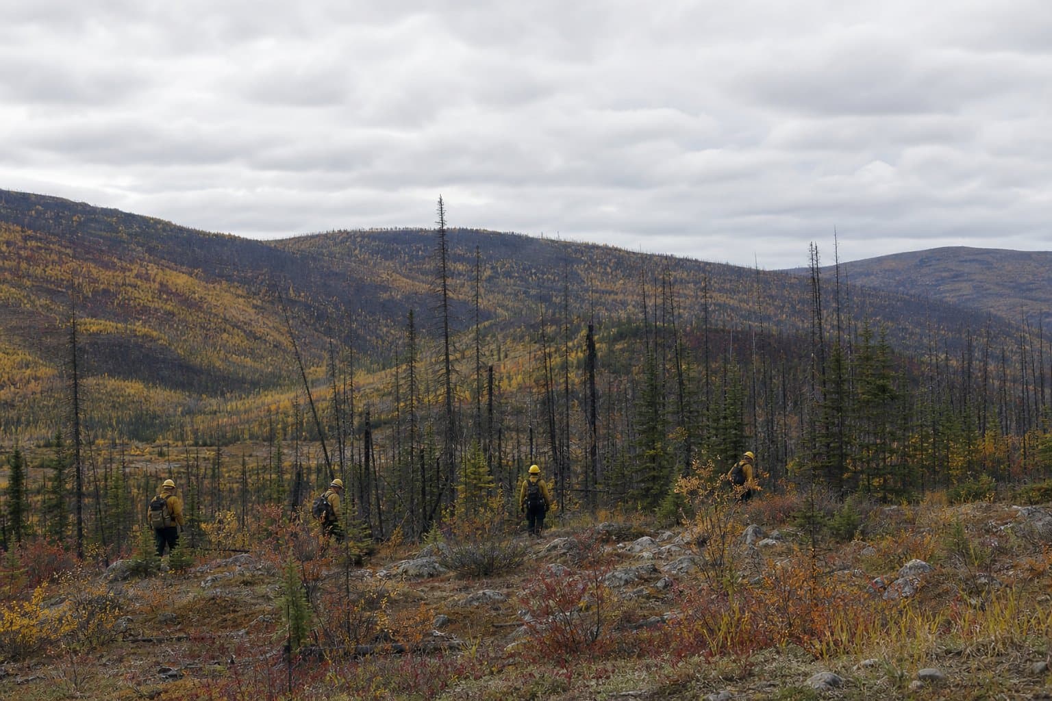 Cover image for article: A remote Alaska village's firefighting enterprise lands more federal work