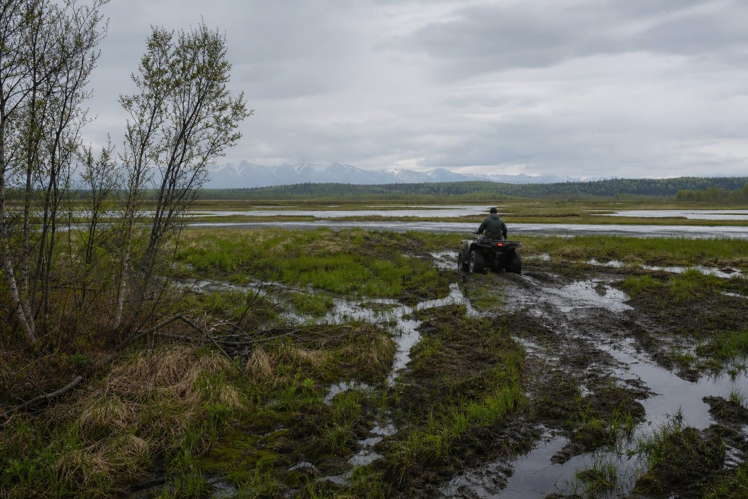 Cover image for article: Wasilla man cited for motorized vehicle use in Palmer Hay Flats refuge