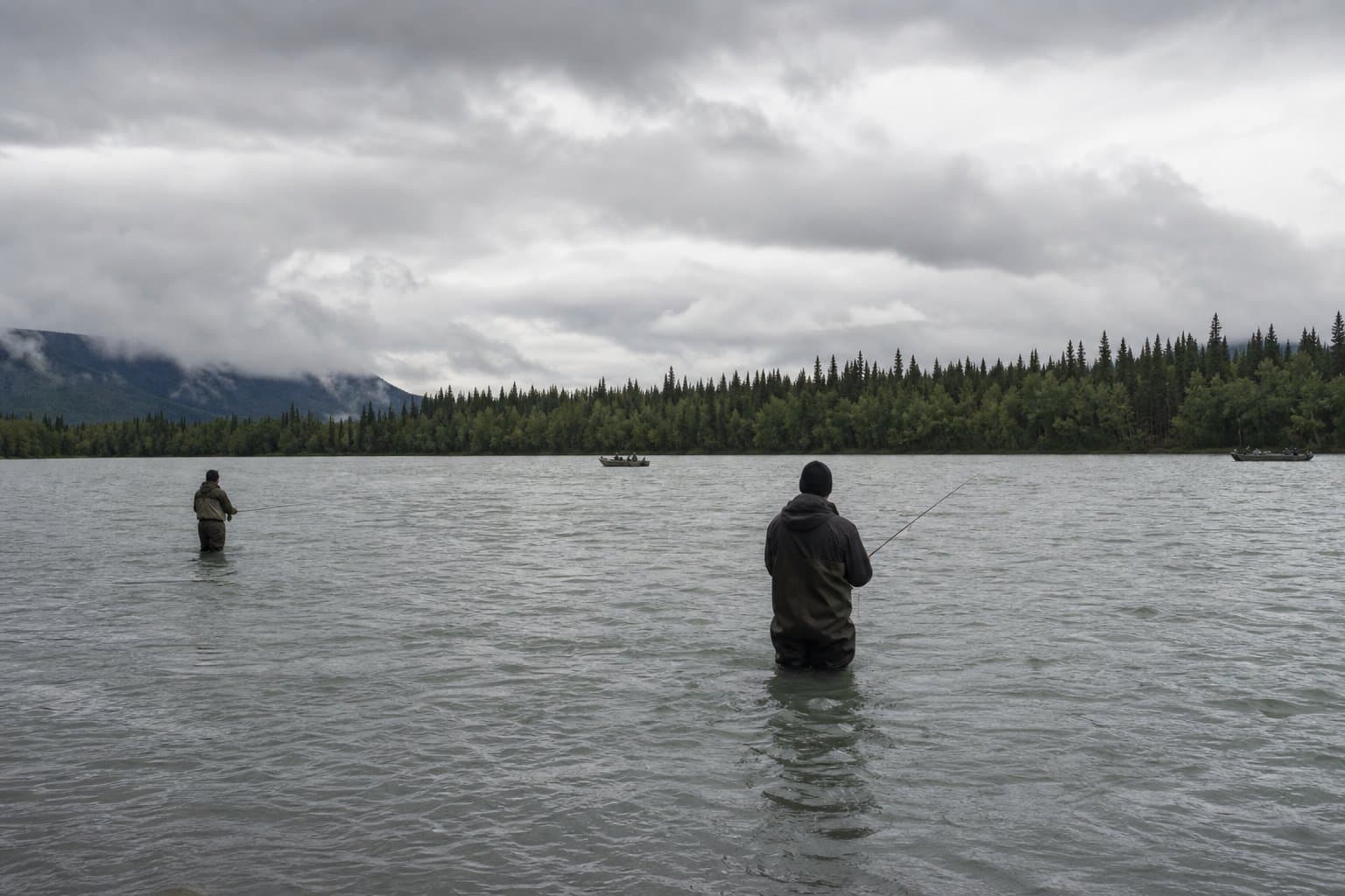 Cover image for article: Yukon chum sport fishing closed again, and ADF&G says coho could follow
