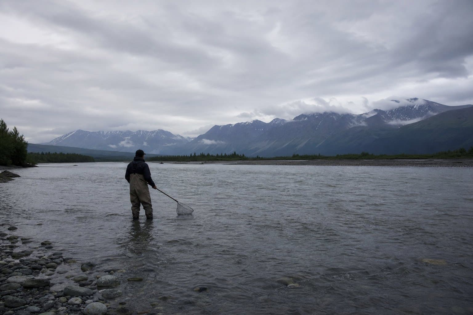 Cover image for article: Chitina dip net fishery closes July 6–12 as salmon count hits 40-year low