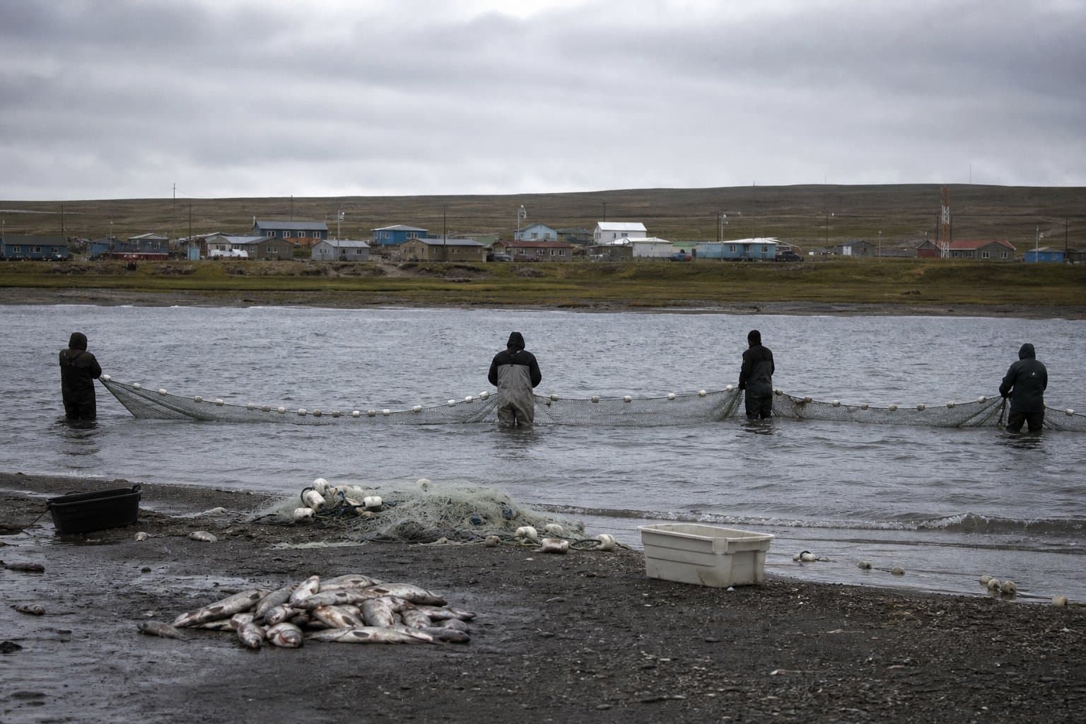 Cover image for article: Beach seines close Tuesday for subsistence fishers in Shaktoolik and Unalakleet