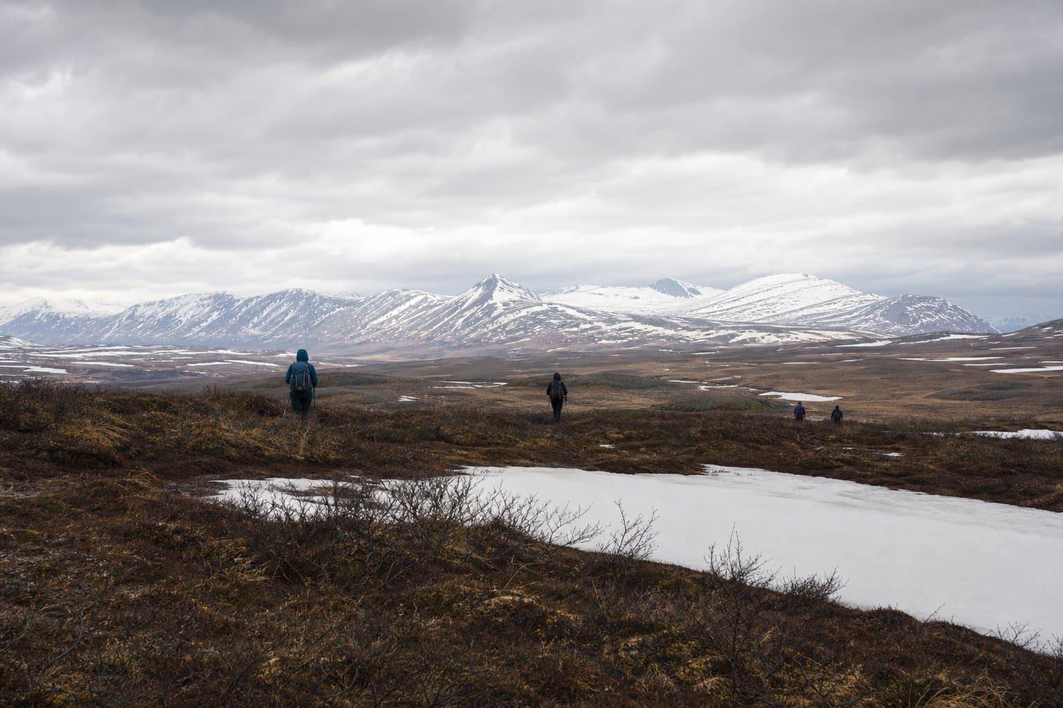 Cover image for article: Seven straight months below normal: what drove Alaska's chilly first half of 2026