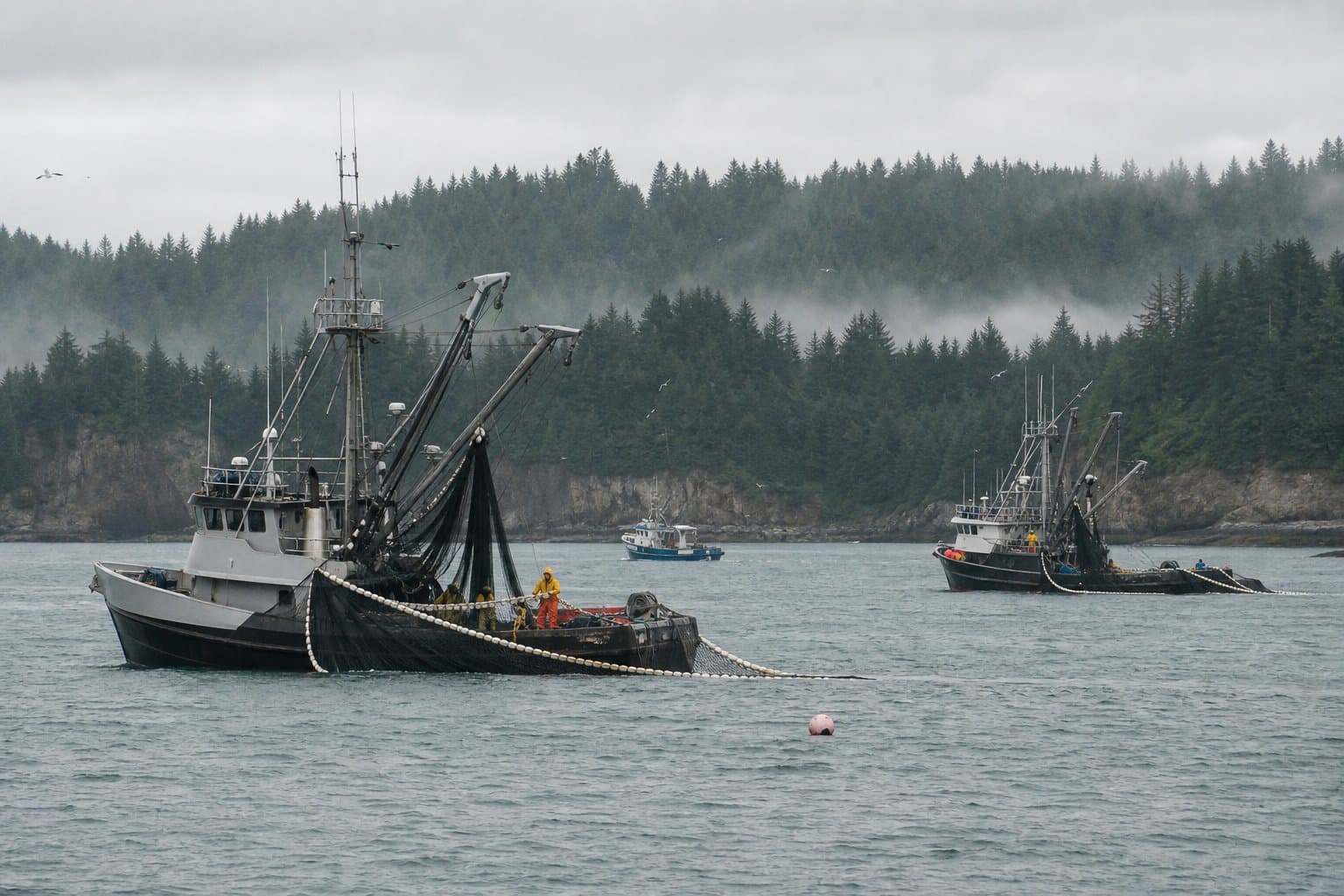 Cover image for article: Kodiak's seiners can fish — but not for a single king