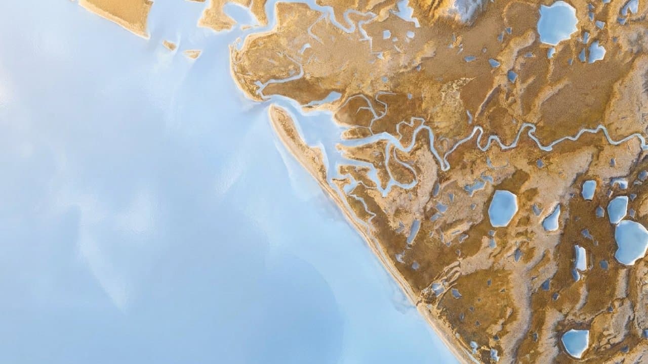 Cover image for article: Bering Straits Native Corporation board appoints Shaktoolik teacher to vacant seat