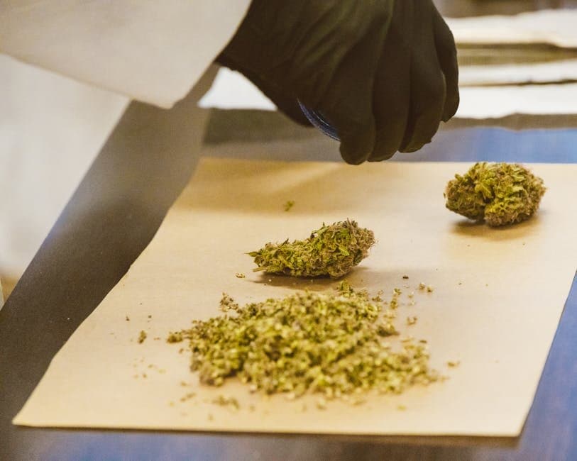 Cover image for article: Alaska Marijuana Control Board approves THC oral pouch product