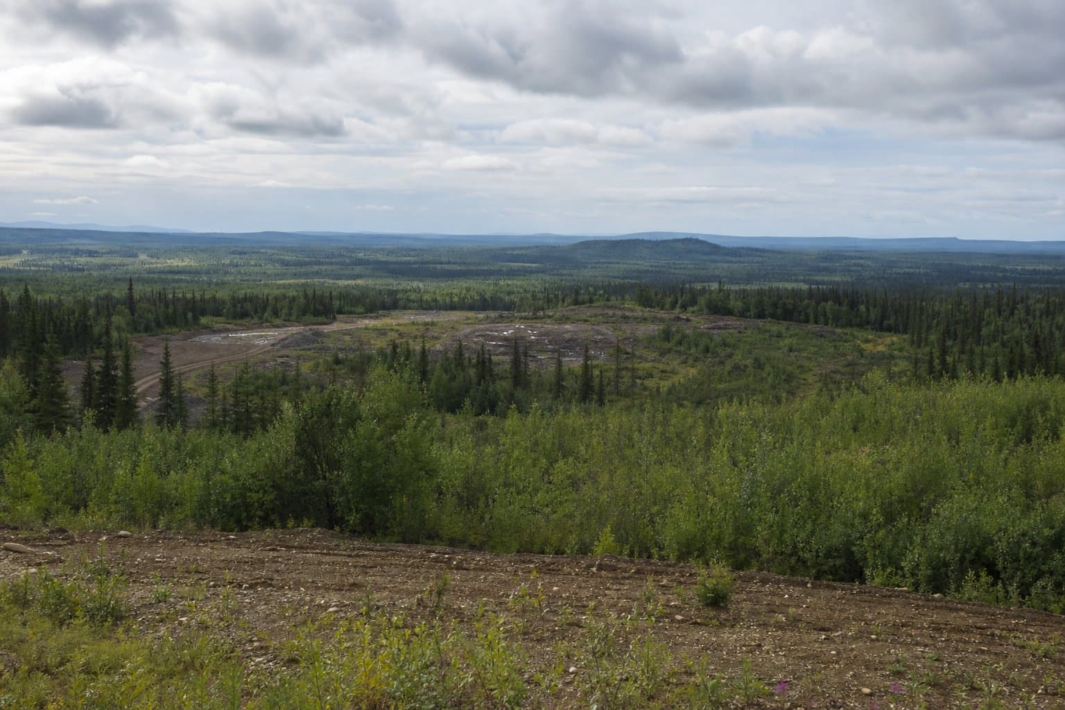 Cover image for article: 31 acres near Ester may go to an unnamed applicant without an auction