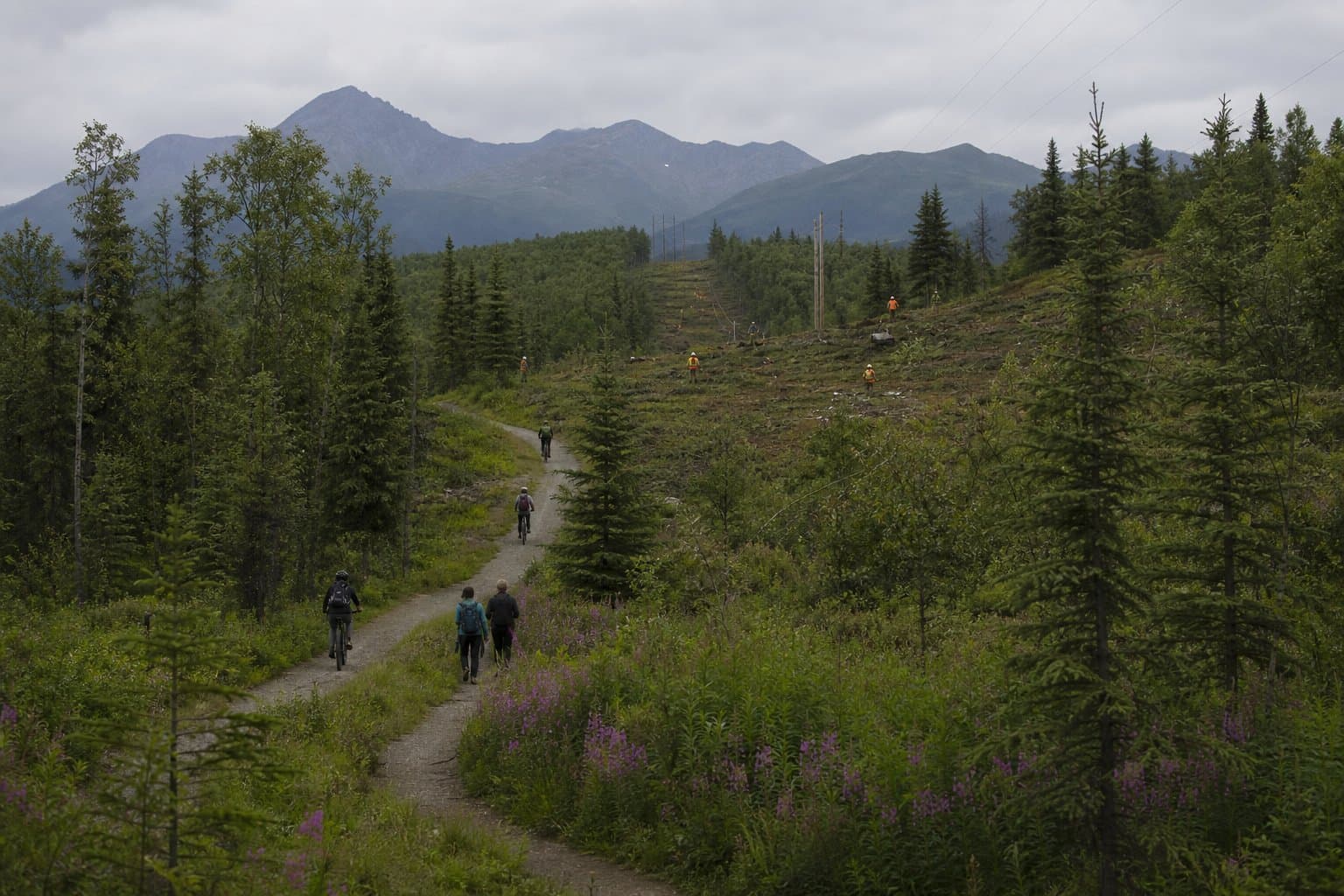 Cover image for article: BLM closes Campbell Tract trail segments through July 25 for fuel break work