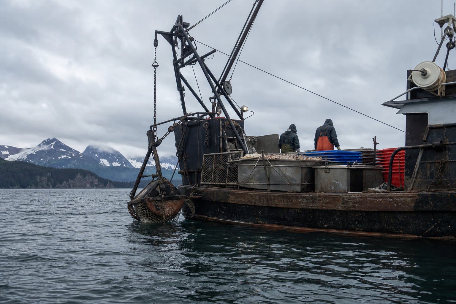Cover image for article: Yakutat scallop fishery closes as harvest reaches 145,000-pound cap