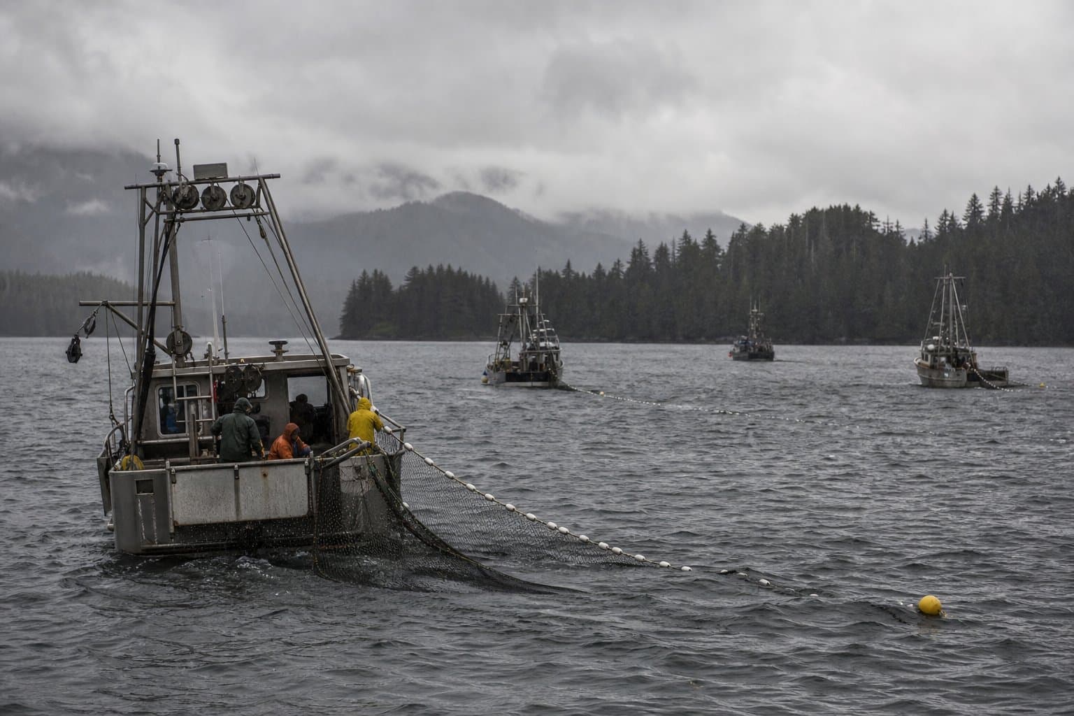 Cover image for article: ADF&G extends Districts 6 and 8 drift gillnet fishery 48 hours with mesh and area limits