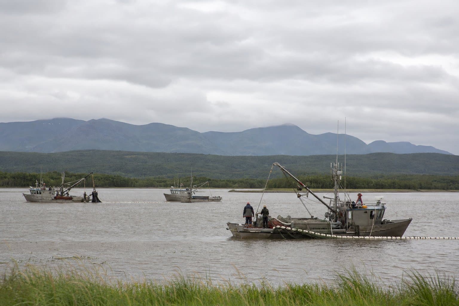 Cover image for article: Bristol Bay enforcement program yields 11 citations across Naknek and Nushagak districts