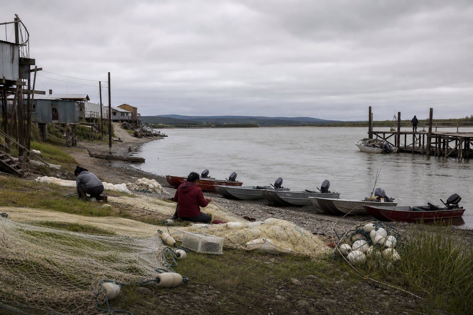 Cover image for article: Yukon District 3 closes to fall chum and coho subsistence Saturday as treaty goals fall short