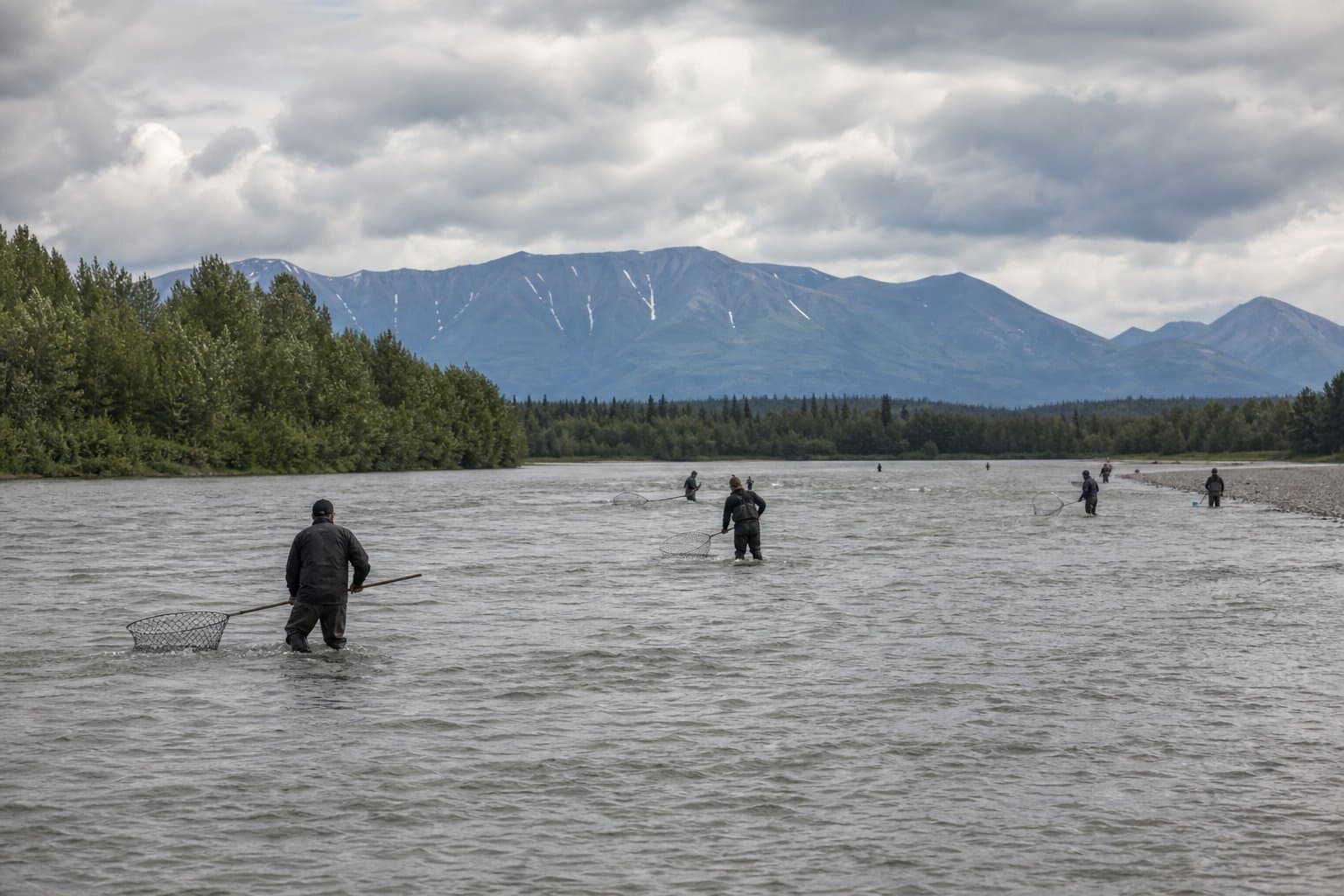 Cover image for article: Chitina dip net fishery cut to 96 hours as Copper River salmon run behind