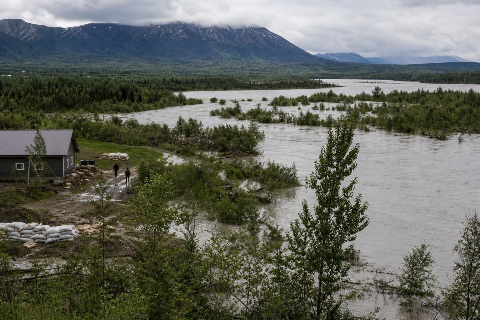 Cover image for article: Forecasters now expect 3 to 5 inches of rain in Susitna basins next week