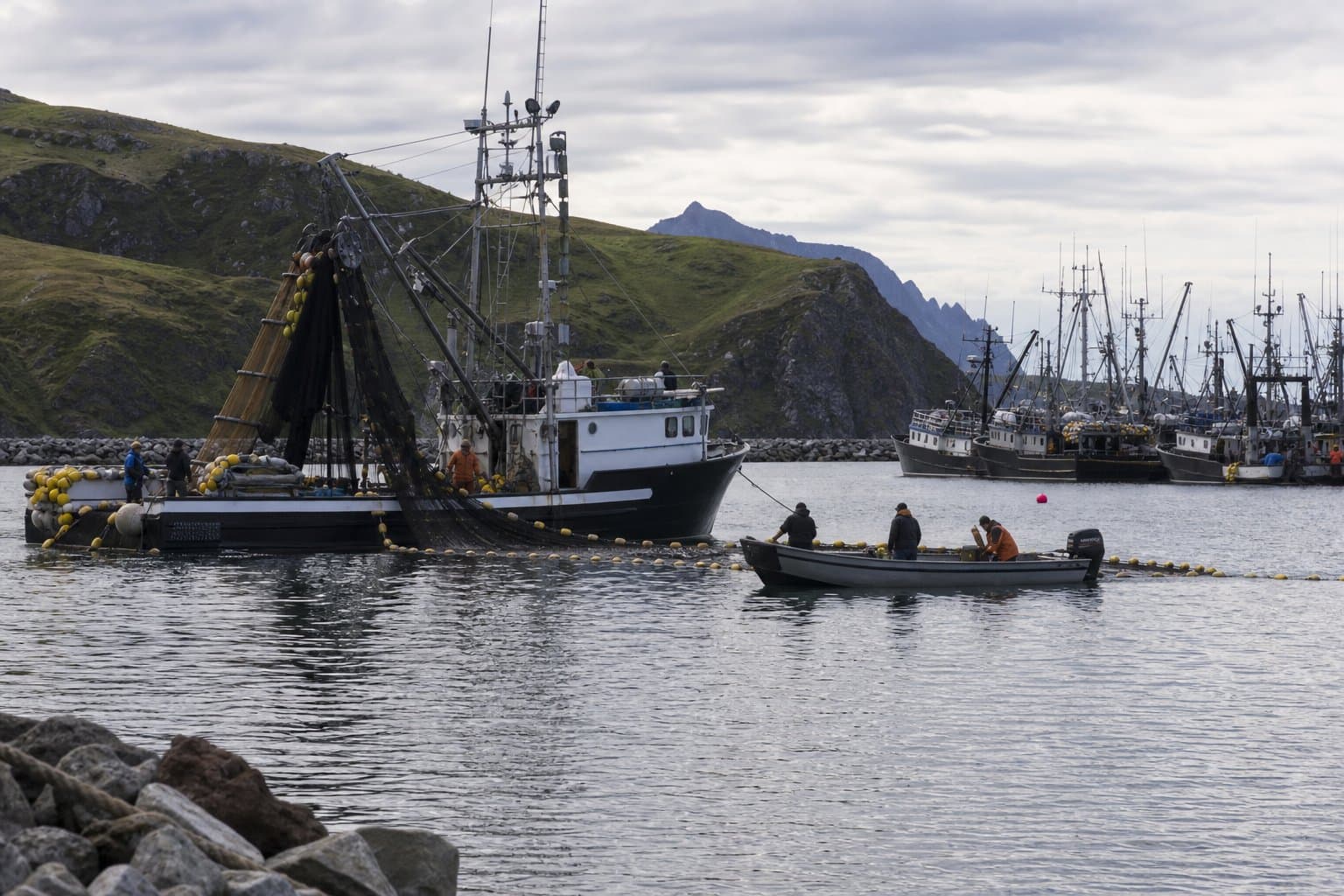 Cover image for article: Chignik Bay District gets 48-hour window before Chinook plan closes it again Monday