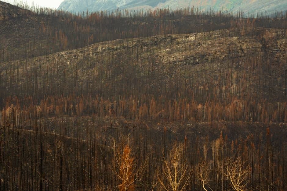 Cover image for article: Tok fire grants of up to $44,800 open, with an October 19 deadline