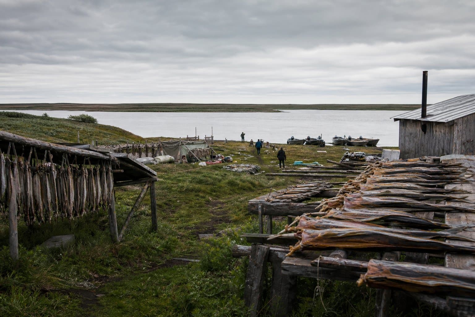 Cover image for article: Lower Yukon District 3 closes to fall chum and coho subsistence Saturday