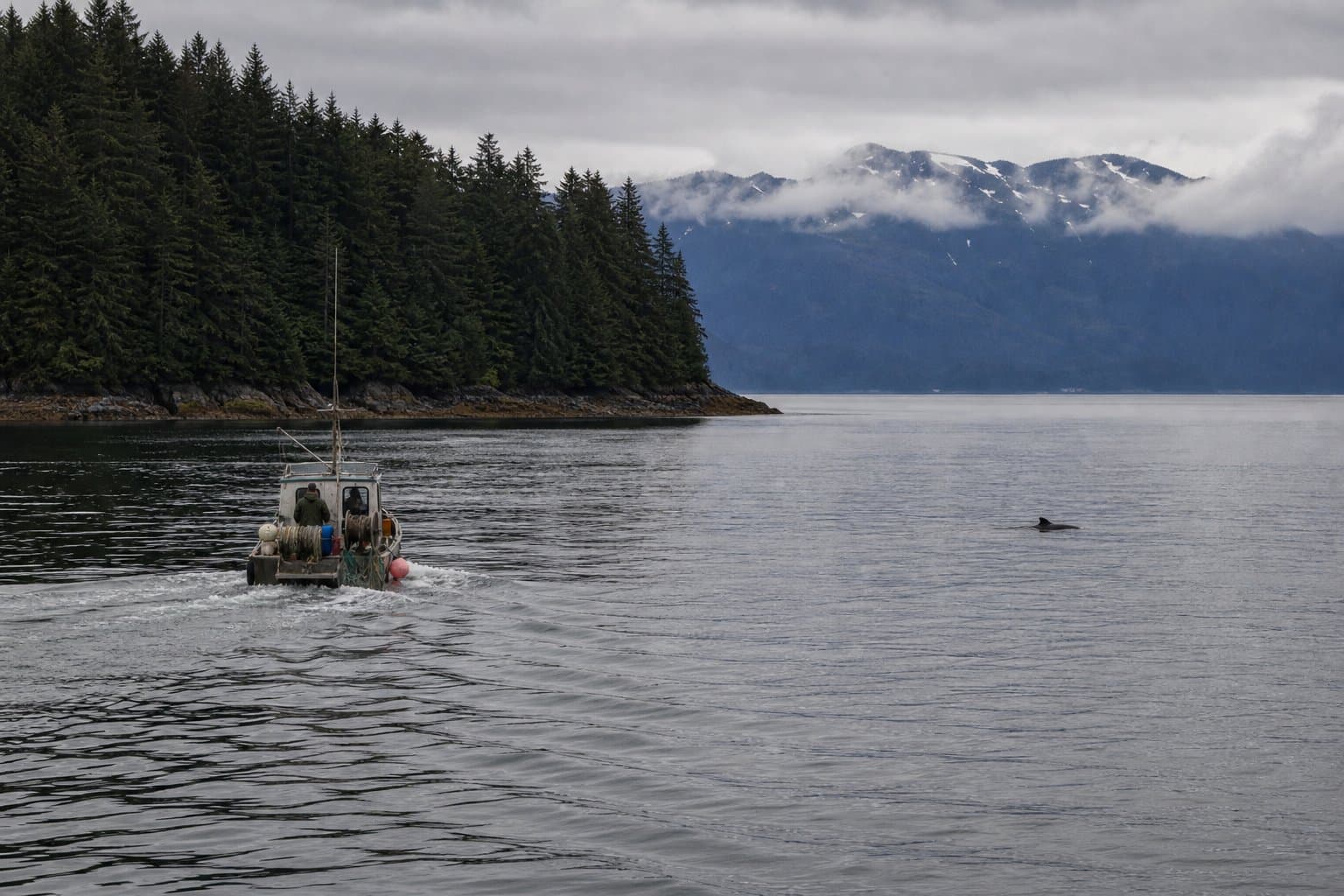 Cover image for article: Sullivan introduces Bycatch Reduction Act targeting Alaska trawl fisheries