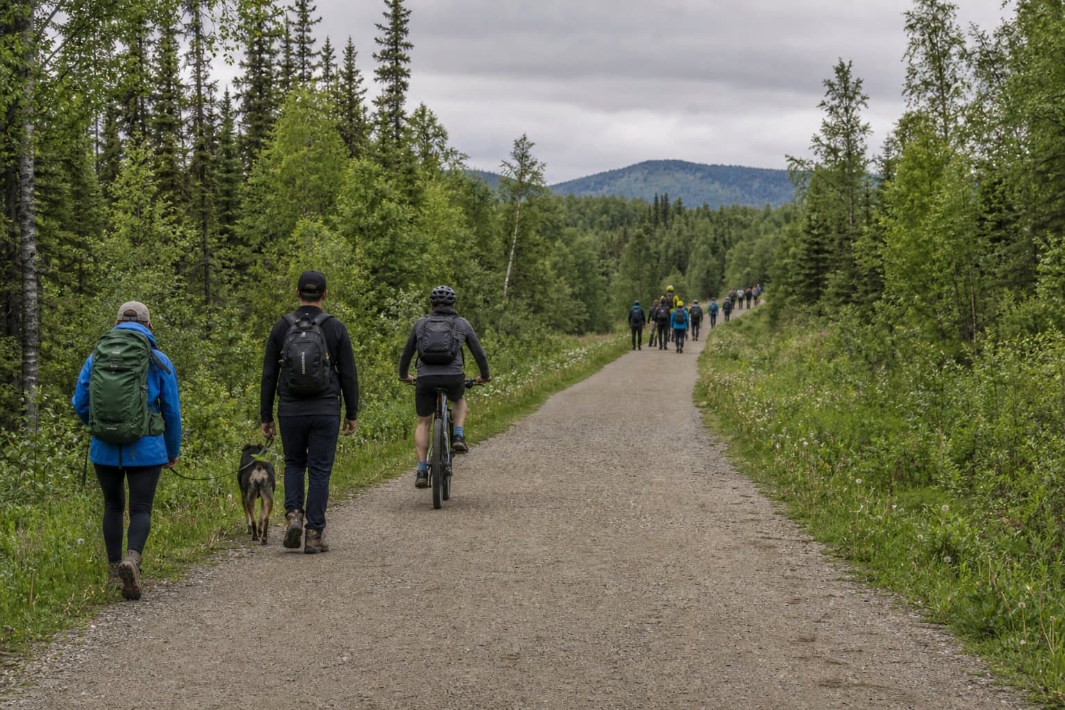 Cover image for article: Fairbanks has 1,000 miles of trails and no rules for tour operators