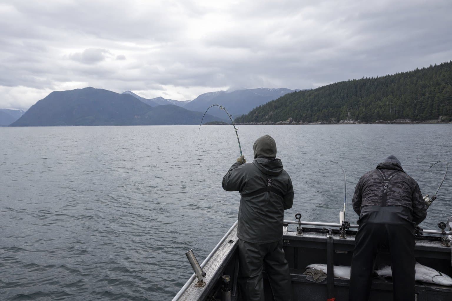 Cover image for article: NOAA reopens Washington and Columbia River halibut fishing in August