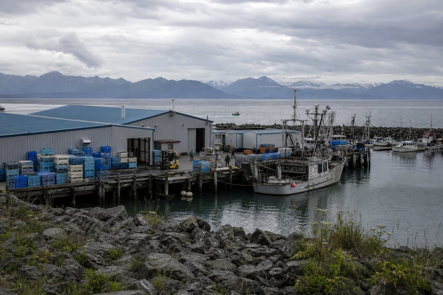 Cover image for article: Homer signs off on a change of ownership at a Homer Spit seafood plant, after the fact