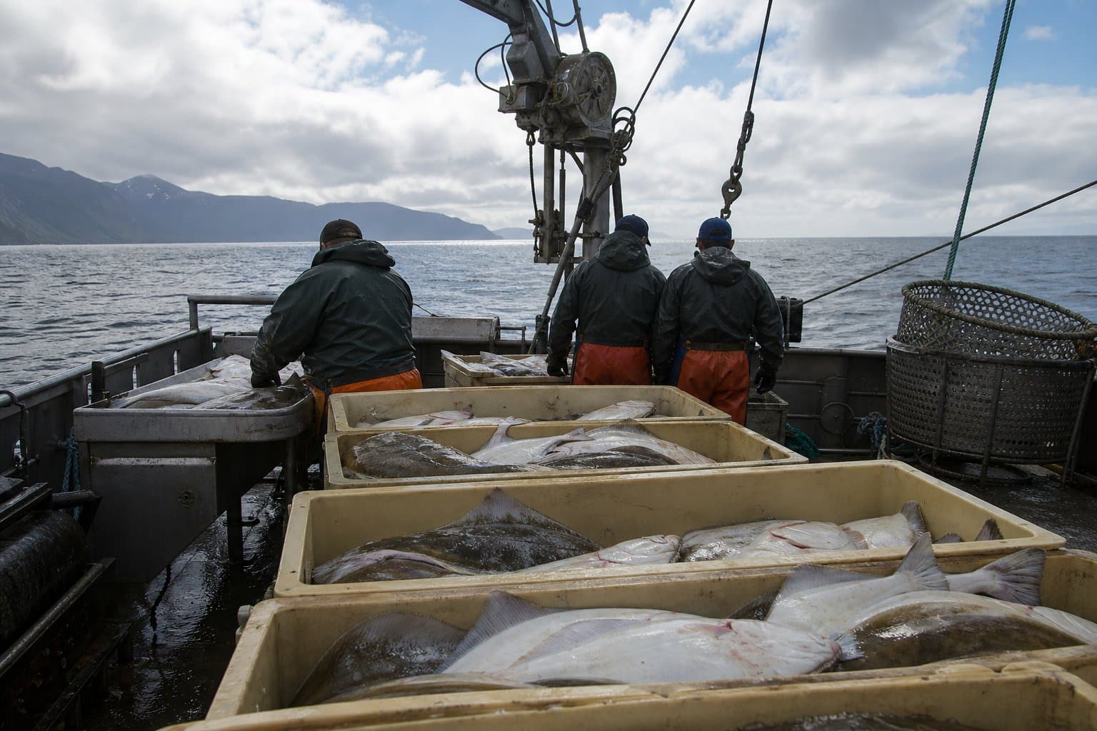 Cover image for article: Federal notice drops Amendment 80 halibut plan from Alaska co-op reporting