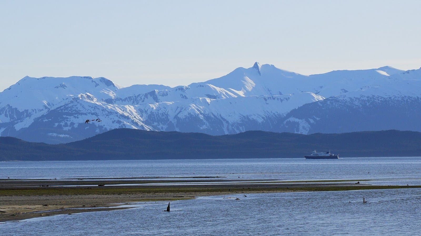 Cover image for article: Alaska students can propose a name for the Tustumena's replacement ferry