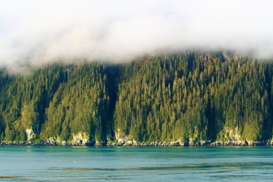 Cover image for article: USDA proposes lifting roadless rule protections on Tongass and Chugach