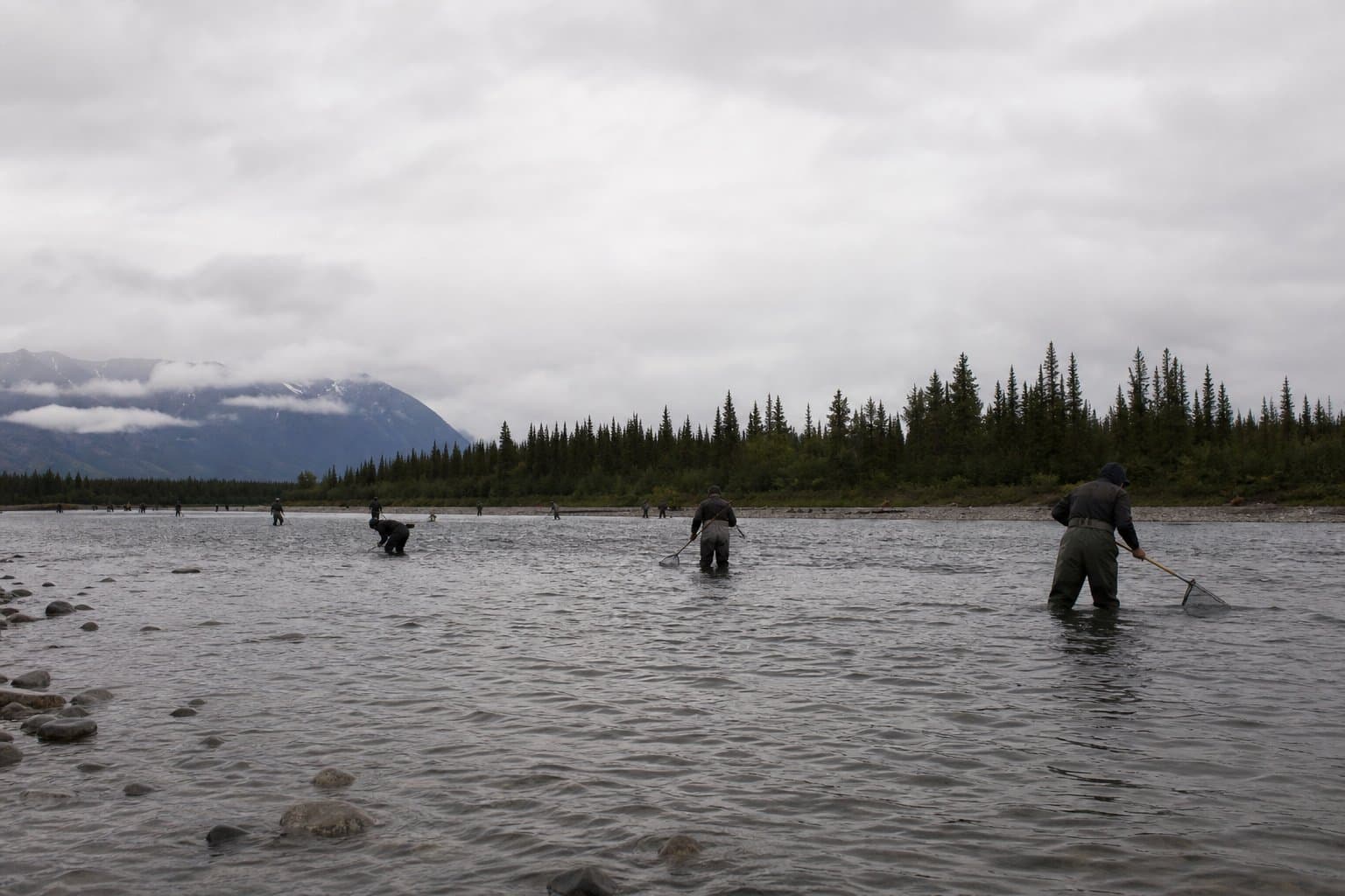 Cover image for article: Five dipnetters cited at Chitina in four days, three headed to court