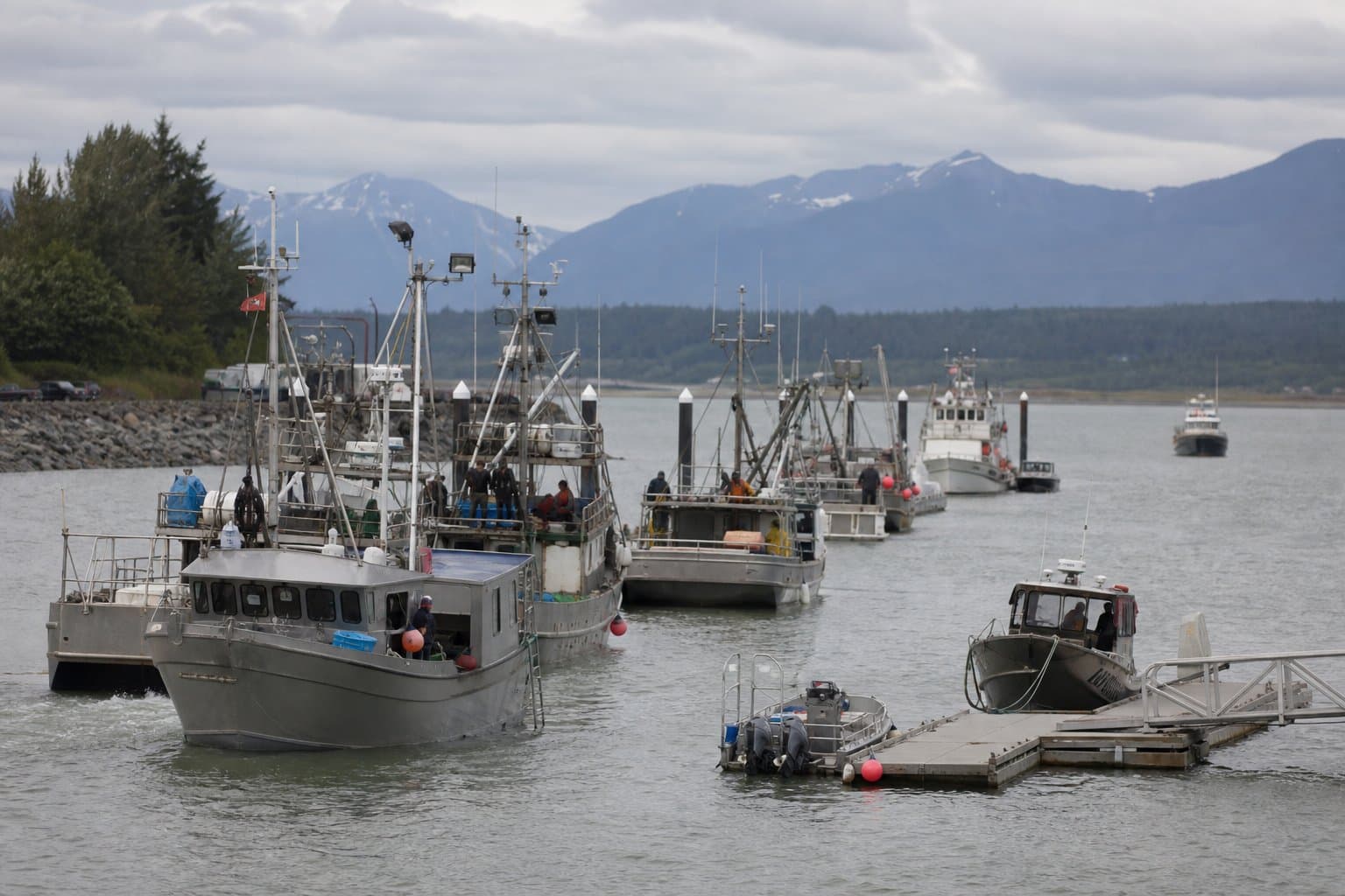 Cover image for article: Kamishak District closes to seining after survey finds fewer pinks