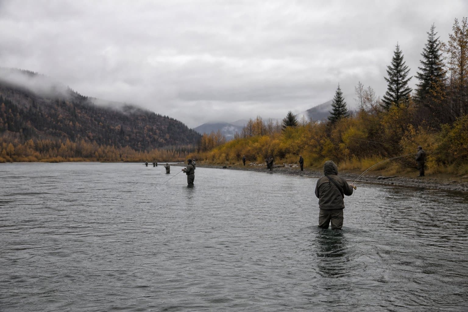 Cover image for article: Kenai silver salmon derby canceled over unclear coho run data